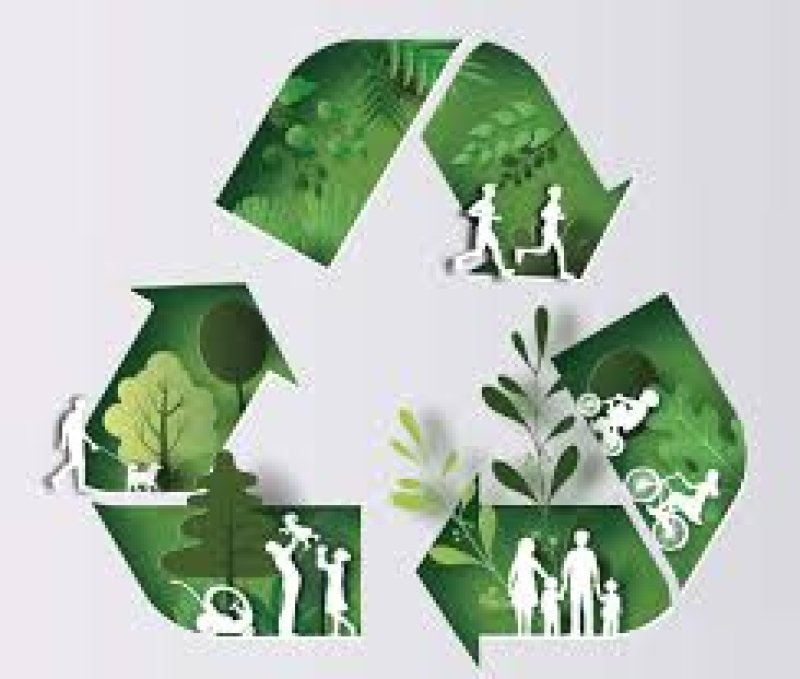 Sürdürülebilir ve Kullanıcı Dostu Teknolojilerle Marka Vizyonunuza Katkı Sağlamak